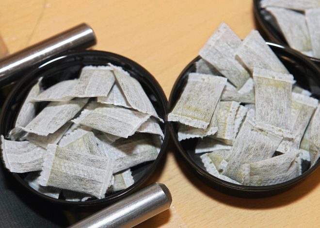 Flavor Focused Nicotine Pouches Enhancing Adult Sensory Experience Variety