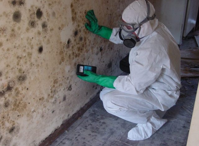 Preventing Structural Damage with Routine Mold Inspection and Analysis